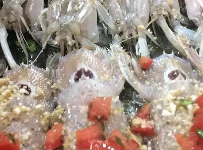 Conca D'oro 3* Foggia