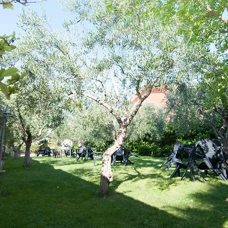 Hotel Conca D'oro 3*